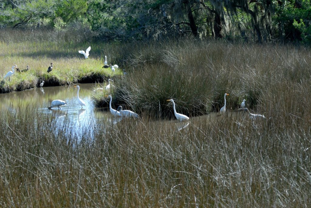 Preserve habitats for endangered species